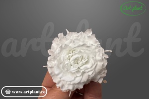 mini rose romantic stabilizate alb cu accente verzi pentru aranjamente florale