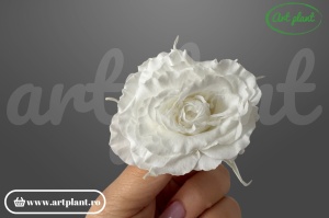 Mini Rose Romantic stabilizate Albe