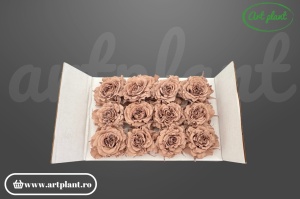 mini rose romantic stabilizate latte flori naturale elegante