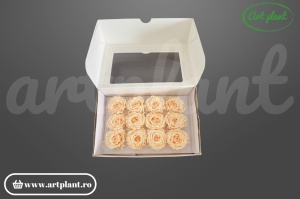 Mini Rose Romantic stabilizate Pink Champagne din Ecuador, Ø 4–5 cm • Înălțime 2–2.3 cm, 12 buc