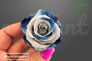 Mini Roze Warmi Blu05