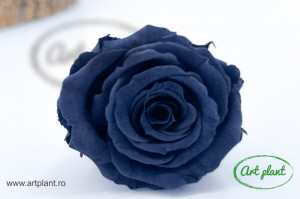 Mini Roze Warmi Gri Gry01 - Img 1