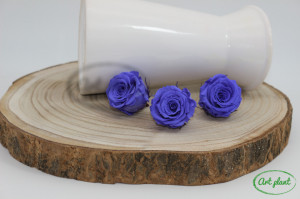 Mini Roze Warmi Violet Vio01 - Img 2