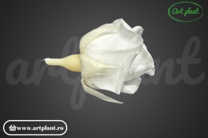 Miniroze Criogenate Pure White S - Img 3