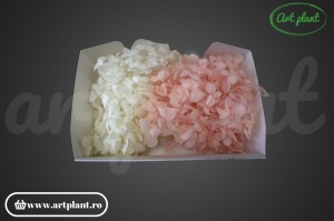 Mix Hortensie Stabilizată – Set cu 2 Culori Naturale - Img 2