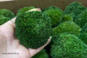 Muschi Mini Ball Moss Nature Green