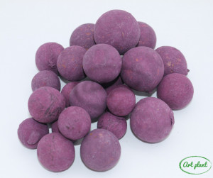 Nuci macadamia mov