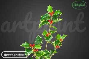 Ramură decorativă Ilex, 63 cm - Img 3
