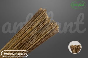 Ramuri stuf natural, lungime 80 cm – legătură