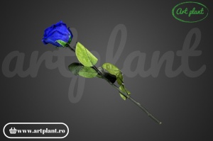 Trandafir criogenat Albastru Blu03 cu tijă, 30 cm - Img 2