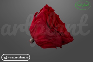 Cap de trandafir criogenat roșu 100% natural, Romantic Shape, Ø 6–6.5 cm, decor interior elegant, aranjament floral