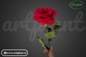 Trandafir criogenat Rosu Red01 cu tijă, 30 cm - Img 2