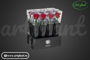 Trandafir criogenat Rosu Red01 cu tijă, 30 cm