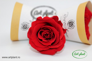 Trandafir Criogenat Rosu Red02