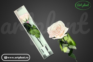 Trandafir criogenat Roz Bic07 cu tijă, 30 cm - Img 2