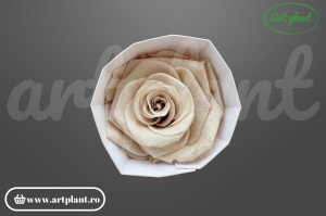 Trandafir criogenat 6cm Sand - Art Plant