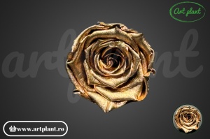Trandafiri Criogenati L Metallic Gold Whi04