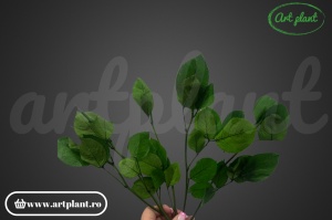 Tulpini stabilizate pentru trandafiri – Set de 5 - Img 2