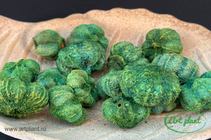 Usturoi uscat verde inchis