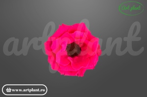 Anemonă stabilizată Chery Blush