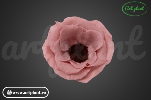 Anemonă stabilizată dusty pink