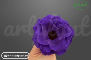 Anemonă stabilizată mov