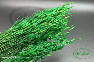 Avena verde