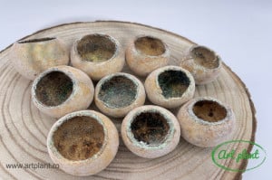 Bell Cup Glitter (diametru 4-5 cm)