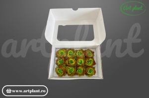 Mini Rose Romantic Brassica Luxe stabilizată verde maro – 12 capete în cutie – Art Plant