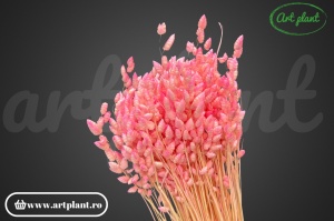 Briza maximă candy pink
