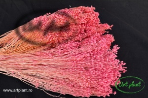 Broom Baby Pink