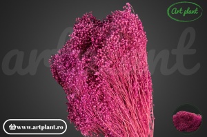 Broom mov filder (G)
