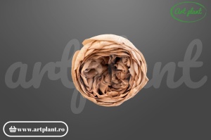 Bujor criogenat Capucino – floare stabilizată natural | Art Plant
