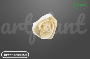 Cap camelie sola 4 cm cu petale simetrice în spirală, floare decorativă elegantă din lemn de sola