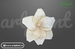 Cap crin sola 8 cm cu petale alungite clasice, floare decorativă elegantă din lemn de sola
