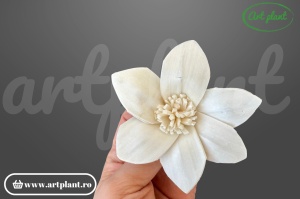 Capete crin star gazer sola 8 cm