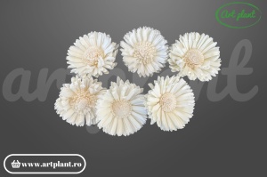 Cap floarea soarelui sola 8 cm cu petale alungite și centru brun, floare decorativă din lemn de sola