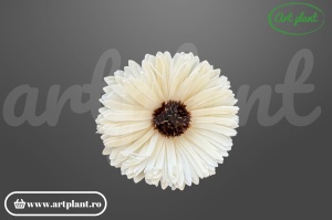 Cap floarea soarelui titonia sola 8 cm cu petale rotunjite compacte, floare decorativă din lemn de sola