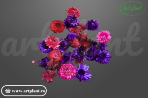 Capete flori de paie mix