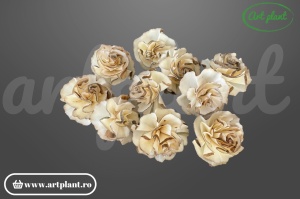 Cap garoafă bark sola 6 cm cu petale franjurate și textură rustic, floare decorativă din lemn de sola bark