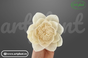 Cap lotus sola 10 cm cu petale conice în rânduri concentrice, floare decorativă zen din lemn de sola