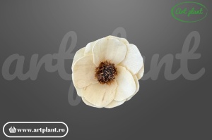 Cap mac sola 6 cm cu petale fine și delicate, floare decorativă eterică din lemn de sola