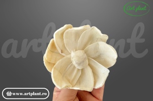 Capete pluto sola 8 cm