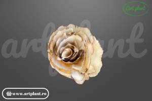 Cap trandafir sola rustic vintage 6 cm alb crem, floare decorativă pentru aranjamente bohemian