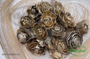 Conuri trandafir champgane & glitter