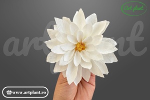 Dalie stabilizată albă cu centru galben, floare naturală conservată Art Plant