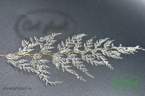 Feriga lace alb / crem - Img 3