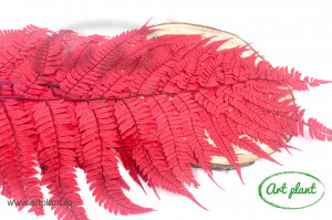 Feriga Parchment Red