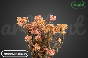 Floare de Orez Criogenata Roz Deschis