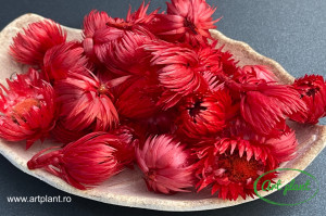 Flori paie capblume rosii